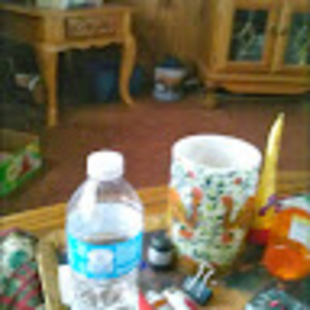 Meet your Posher, Ramona